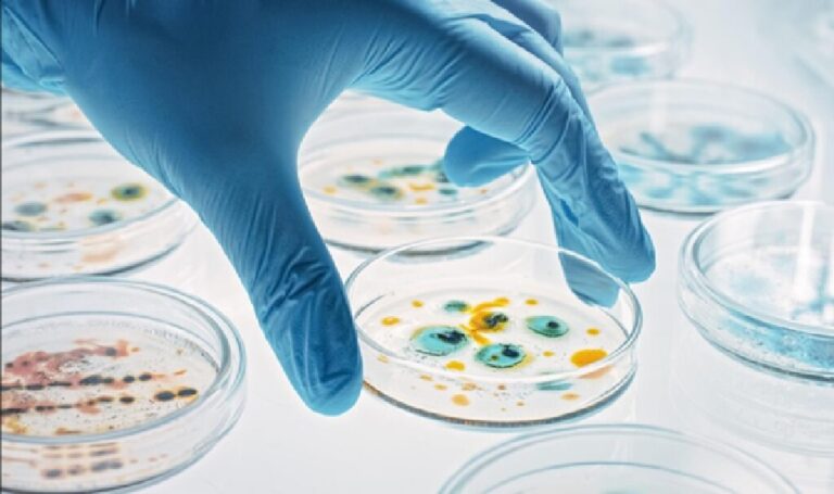 Microbiology Testing